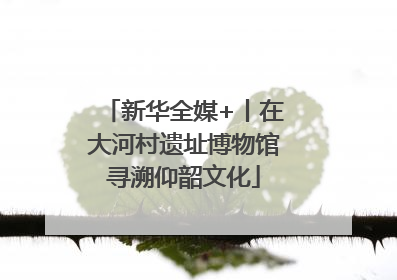 新华全媒+丨在大河村遗址博物馆寻溯仰韶文化